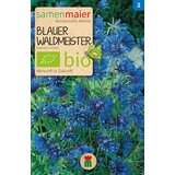 Samen Maier BIO Asperula Cene