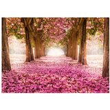 Samoljepljiva foto tapeta - Pink grove 245x175 | shoptok.hr