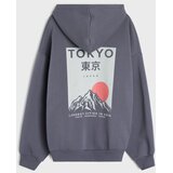 Sinsay Hoodie s tiskom | shoptok.hr