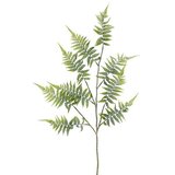  Umjetna biljka Paprat (Visina: 102 cm, Zelene boje, Plastika) Cijene
