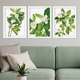 Wallity Set uramljenih slika 3BC_526079865, 3 Dela | ePonuda.com