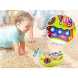Baby klavijatura gusjenica i prijatelji | shoptok.hr