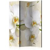  Paravan u 3 dijela - Orchid Branch [Room Dividers] 135x172 Cijene
