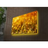 Wallity Slika sa LED osvetljenjem 4570DACT-66, 45x70 cm | ePonuda.com