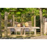 Premium Living Dekorativna Vaza Pinto Slike