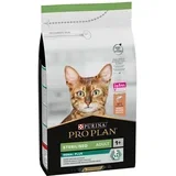 Adult sterilised losos, 1,5 kg
