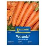 KIEPENKERL Zelenjavna semena Korenje Vollenda (Daucus carota subsp. sativus, Čas žetve: Avgust) | Shoptok.si