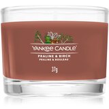 Yankee Candle Praline & Birch mala mirisna svijeća bez staklene posude 37 g Cijene