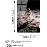 Wallity UV-196 70 x 100 Multicolor Decorative Tempered Glass Painting | Eponuda.com