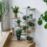 Kondela Stojalo za rože, hrast sonoma/bela, LEDOR TIP 1 | Shoptok.si