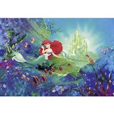 Komar Disney Edition 4 Foto tapeta Ariel ́s Castle (8 -dij., Š x V: 368 x 254 cm, Papir) | shoptok.hr