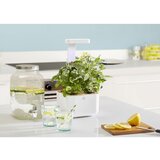  Botaneo Indoor Garden | shoptok.hr