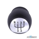 888 Car Accessories renault ručica menjača 5 brzina clio/megane/kangoo Cene