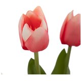 Ixia Umjetna biljka (visina 31 cm) Tulips – | shoptok.hr