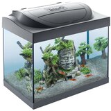 Tetra Akvarij Starter Line LED za škampi črni 30 l cene