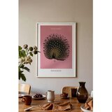Wallxpert uramljena slika 115214, The Black Peacock Ohare Kosona, crni paun, ružičasta pozadina, 50 x 70 cm, beli ram Cene