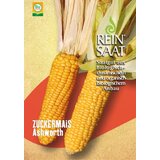 ReinSaat Sladka koruza "Ashworth" Cene
