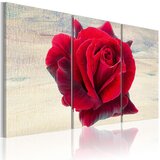  Slika - Lyrical rose 90x60 Cijene