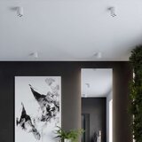  Stropna svetilka ZOE bela LED, (21347863) | Shoptok.si