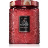 VOLUSPA Japonica Foraged Wildberry dišeča sveča 510 g Cene