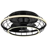 Stropni ventilator Linay LED 30W CCT 2700-6500K