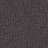  Balcony ekran Antracit 75 x 700 cm HDPE i Aluminij | shoptok.hr