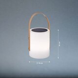 Fischer & Honsel Bela/rjava LED namizna svetilka (višina 34 cm) Bari – | Shoptok.si