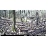 OXE Lovska kamera WiFi lovec RD3019 in sončna plošča + 32 GB SD kartica, 8 baterij in stativ! | Shoptok.si