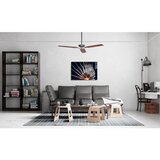 WALLXPERT 1506 - Višenamenska Tempered Staklena Slika 70 x 100 cm | Eponuda.com
