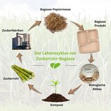 GREENKAUFEN 50x kompostabilni krožniki iz bagase s 3 razdelki | Shoptok.si