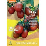 ReinSaat Koktajl paradižnik "Black Plum" Cene