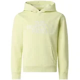 Jr Drew Peak Light Reg Hoodie duks