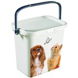Curver Bela večnamenska škatla s pokrovom Curver, 6 l | Shoptok.si