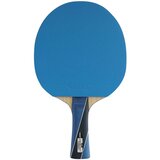 Gewo Lopar za namizni tenis PS Blast Carbon, (20472886) | Shoptok.si