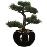 UMJETNO CVIJEĆE BONSAI 36CM POLISTIREN/KERAMIKA CRNA