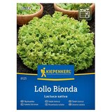 KIEPENKERL Zelenjavna semena Solata Lollo Bionda (Lactuca sativa, Čas žetve: Maj) | Shoptok.si