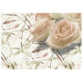  Tapeta - Birthday wishes 100x70 | shoptok.hr