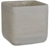 x Okrasni cvetlični lonec Kane (19 x 19 x 18 cm, imitacija cementa, svetlo siva) | Shoptok.si