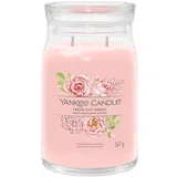 Fresh Cut Roses dišeča sveča Signature 567 g