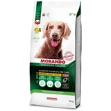 Morando Tradizioni Adult perutnina in zelenjava 12 kg Cene