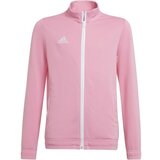 Adidas Puloverji Entrada 22 Rožnata | Shoptok.si