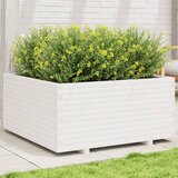 Maison Chic Vrtno cvetlično korito - Cvetlični Lonec belo 100x100x49,5 cm trdna borovina, (21790447) | Shoptok.si