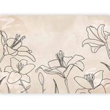  Foto tapeta - Sketch of nature - minimalist lineart with lily flowers on a beige background 490x350 | shoptok.hr