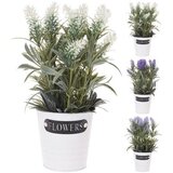 LAVANDA U SAKSIJI 28*10CM Cijene