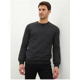 LC Waikiki Crew Neck Long Sleeve Men's Sweatshirt