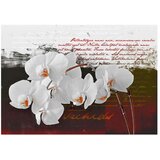  Tapeta - Diary and orchid 400x280 | shoptok.hr