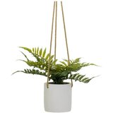 Casa Selección Umetna rastlina (višina 24 cm) – | Shoptok.si