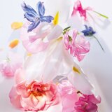 Christian Dior Miss Dior 2021 parfumska voda 50 ml za ženske | Shoptok.si