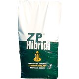 Semenarna Ljubljana KORUZA ZP 388 Super 25 MK | Shoptok.si
