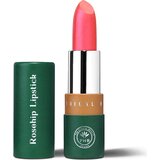 PHB Ethical Beauty Organic Rosehip Satin Sheen šminka - Camellia Cene